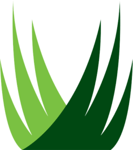 SYNLawn Orlando Logo Large
