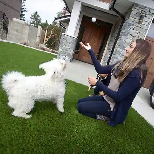image of Pet friendly artificial grass for your furry friends available at SYNLawn